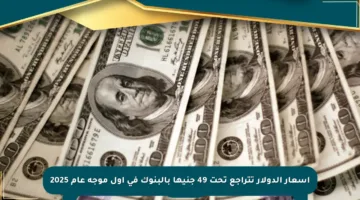 أسعار الدولار تتراجع تحت 49 جنيها بالبنوك في أول موجة عام 2025